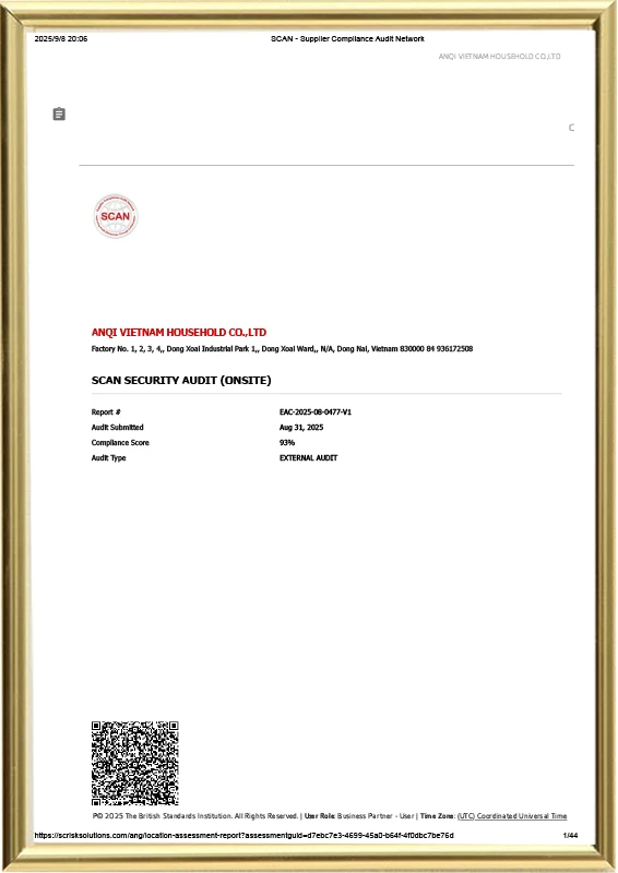 SCAN Audit Report