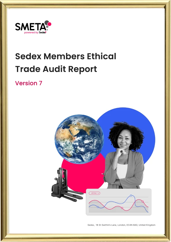 SMETA  Report